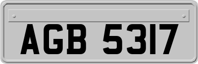 AGB5317