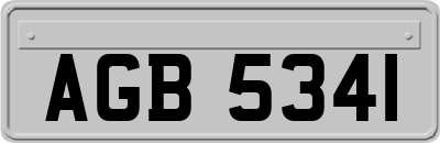 AGB5341