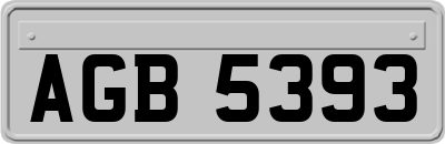 AGB5393