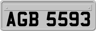 AGB5593