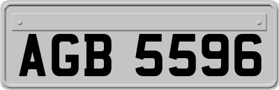 AGB5596