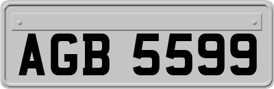 AGB5599