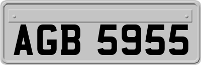 AGB5955