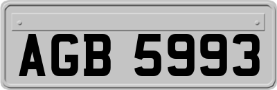 AGB5993