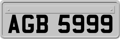 AGB5999