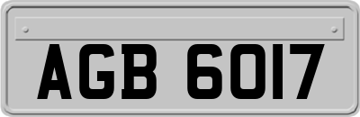 AGB6017