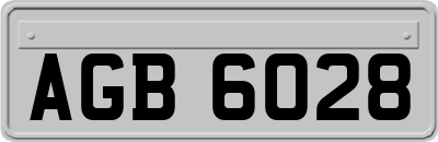 AGB6028