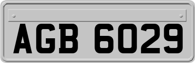 AGB6029