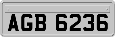 AGB6236