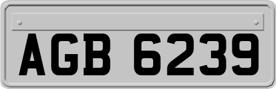 AGB6239