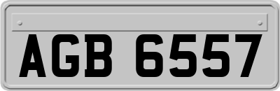 AGB6557