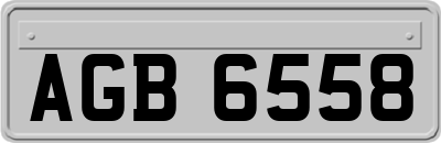 AGB6558