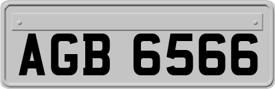 AGB6566