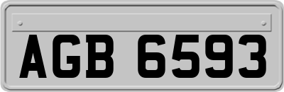 AGB6593