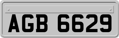 AGB6629