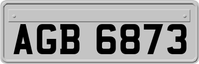 AGB6873
