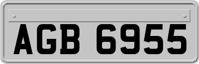 AGB6955