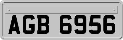 AGB6956