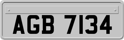 AGB7134