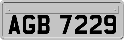 AGB7229