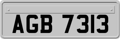AGB7313