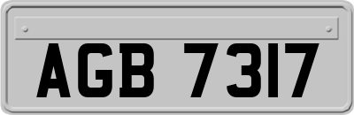 AGB7317