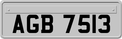 AGB7513