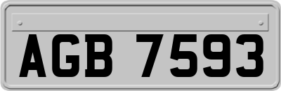 AGB7593