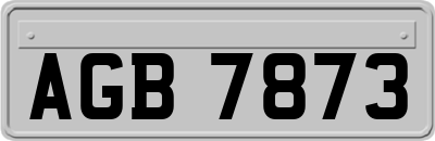 AGB7873