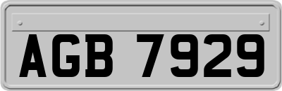 AGB7929