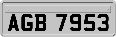 AGB7953
