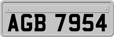 AGB7954