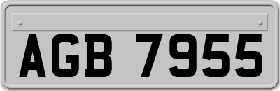 AGB7955