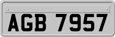 AGB7957