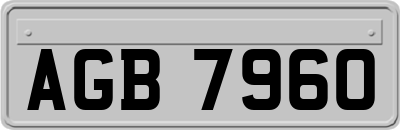 AGB7960