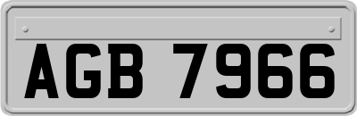 AGB7966