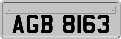 AGB8163