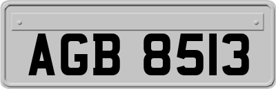 AGB8513