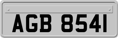 AGB8541
