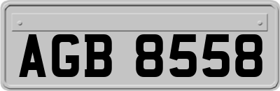 AGB8558