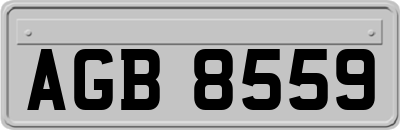 AGB8559