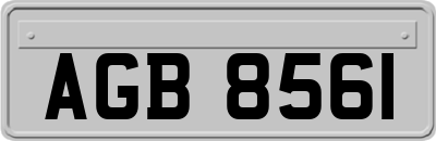 AGB8561
