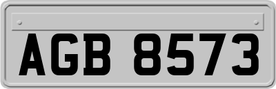 AGB8573