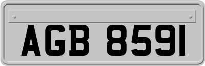 AGB8591