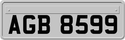 AGB8599