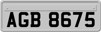 AGB8675