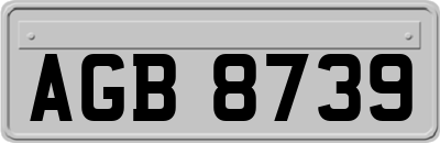 AGB8739