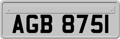 AGB8751