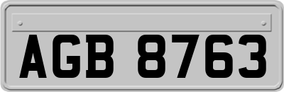 AGB8763