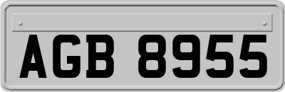 AGB8955